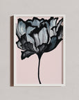 Blush Open Edition Fine Art Print Danelle Messaike.
