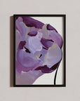 Empire framed print of purple tones flowers on white wall, perfect for eclectic interiors.